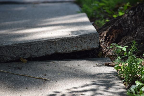 Sidewalk Leveling in Plano